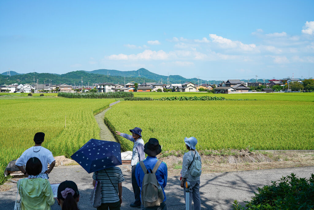 讃留霊王神社の東側の低地には奈良時代前期（645年-710年）に創建された法軍寺跡があり、いまは田んぼが広がっています。