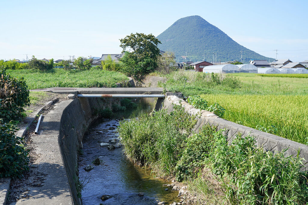 逆さま川。飯野山が見えている北側のほうが低いはずなのに逆方向、北から南にむかって川が流れています。古代寺院法勲寺を囲むように流れ、地元では地形に逆らったように南に流れる区間を「逆さま川」と呼んでいます。